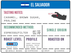 El Salvador New