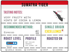 Sumatra Tiger